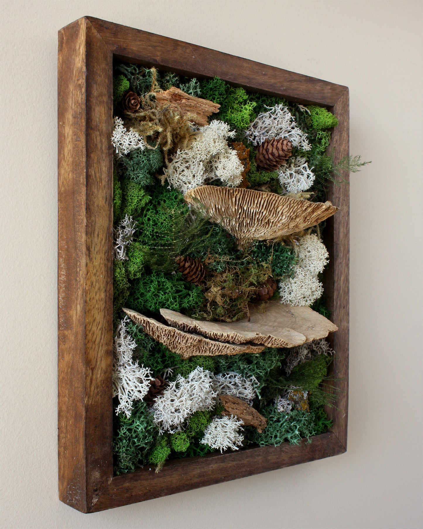 Moss art kits