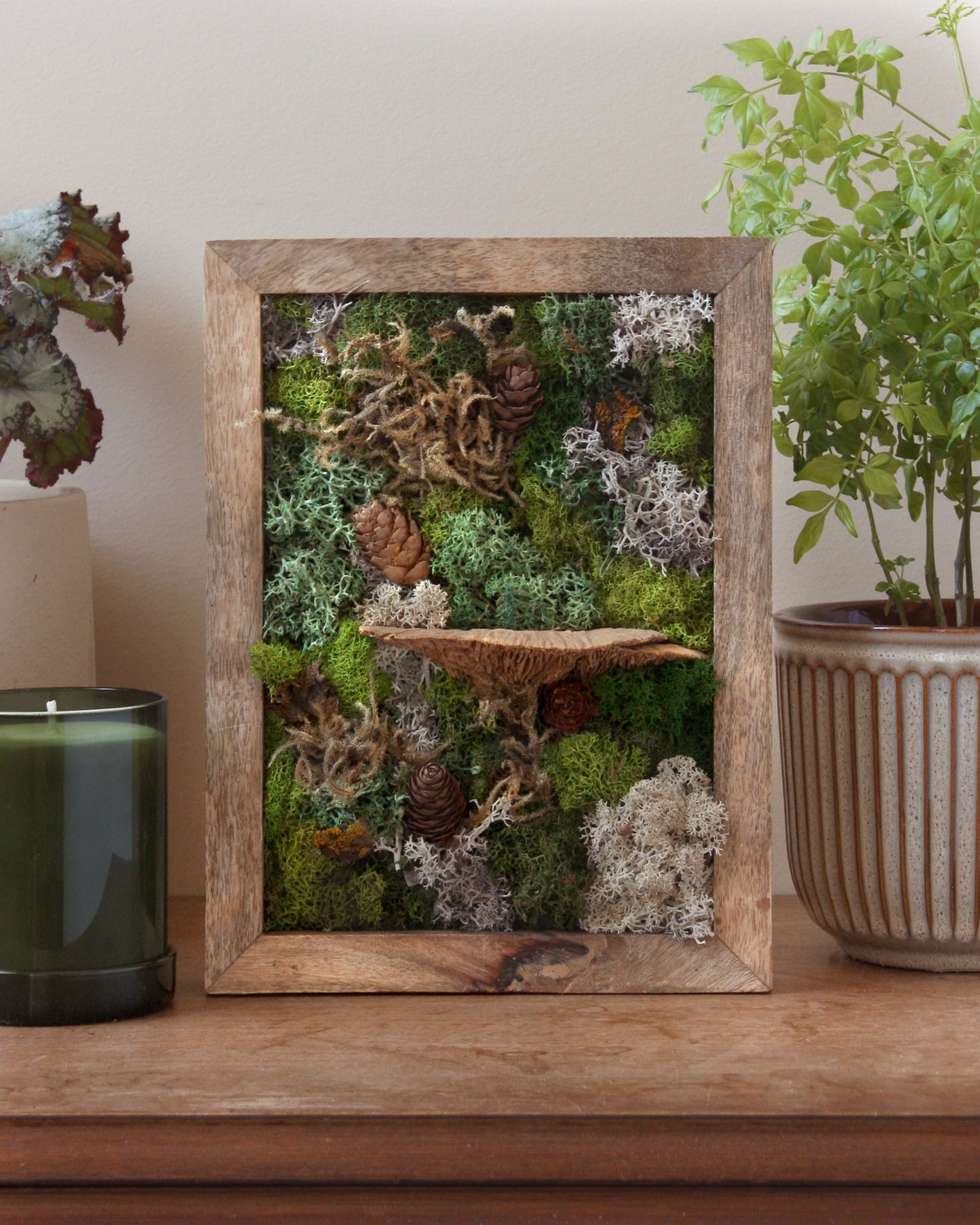 Moss art kits