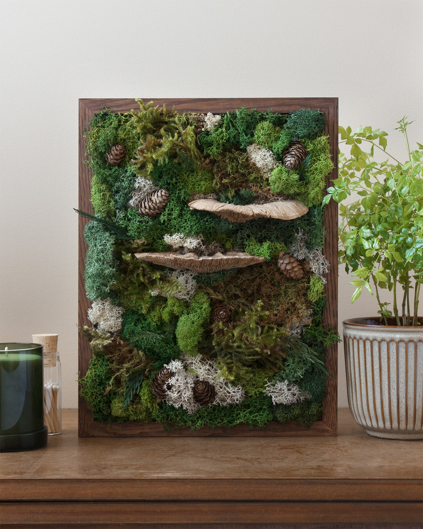 Moss art kits